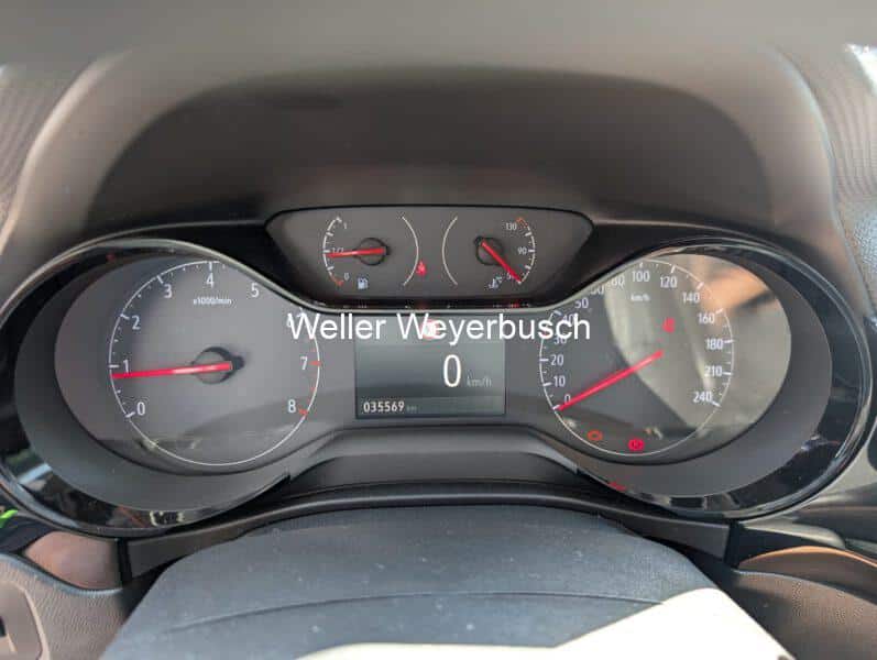 CorsaWeiß (11)