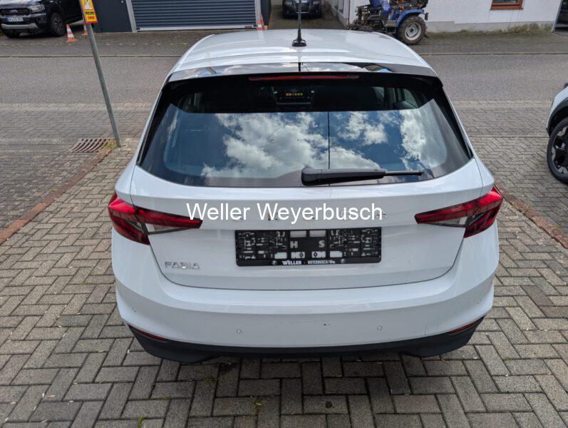 FabiaWeiß (11)
