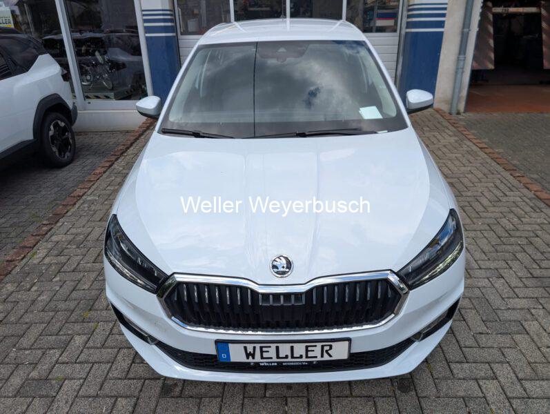 FabiaWeiß (14)