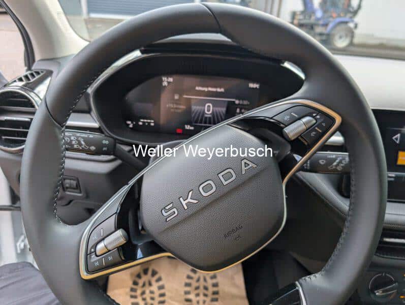 FabiaWeiß (4)