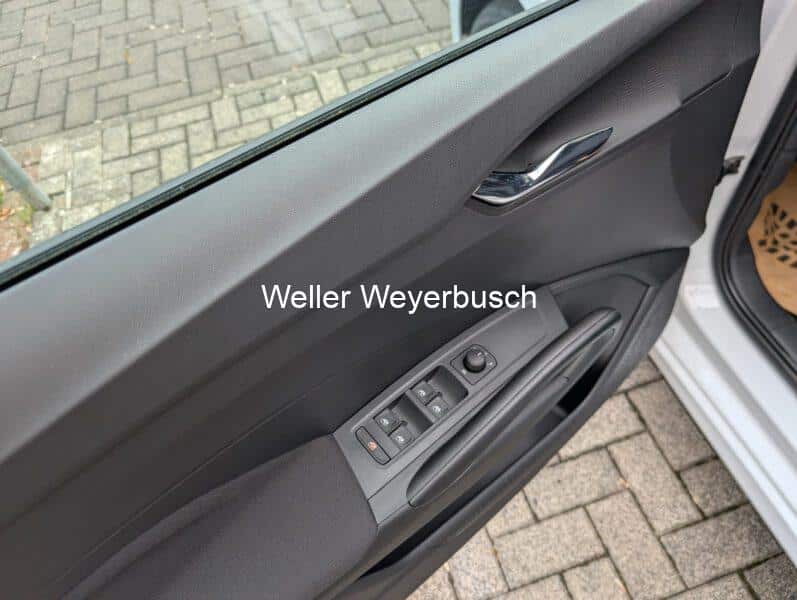FabiaWeiß (5)