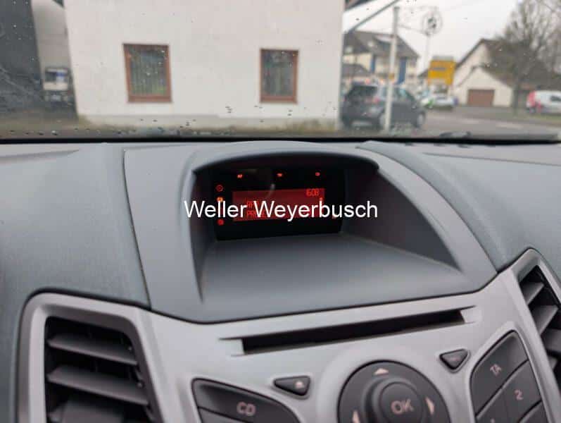 Ford Fiesta Grün (1)