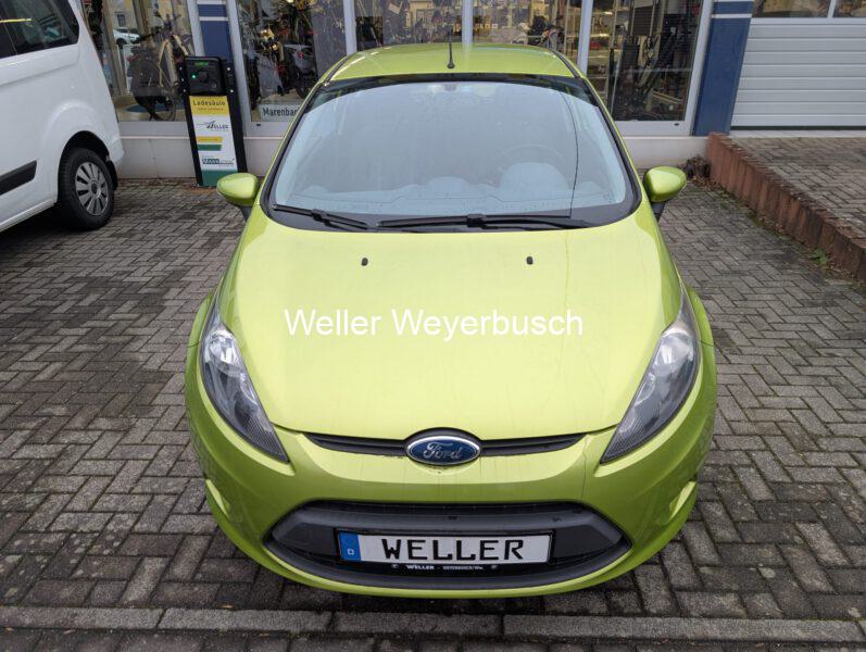 Ford Fiesta Grün (11)