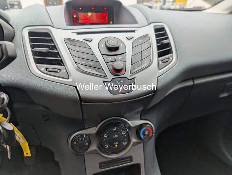 Ford Fiesta Grün (2)