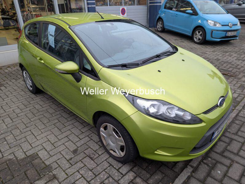Ford Fiesta Grün (4)