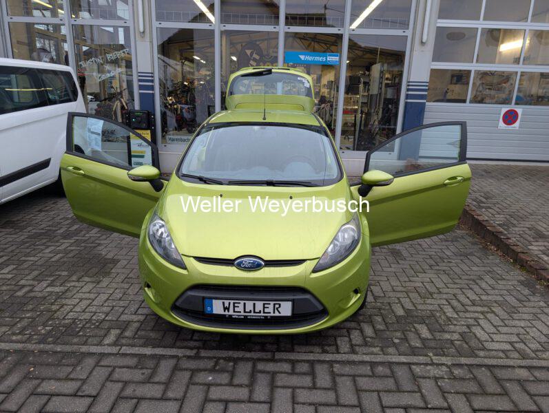 Ford Fiesta Grün (5)