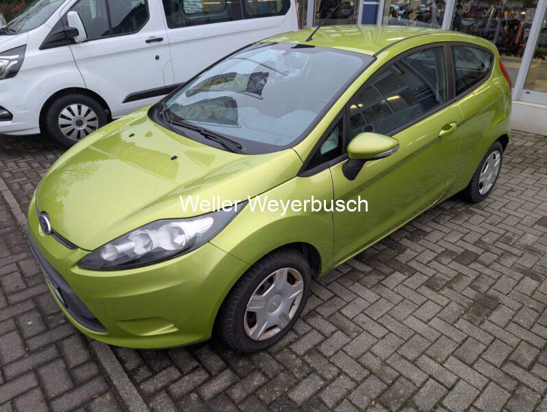 Ford Fiesta Grün (7)