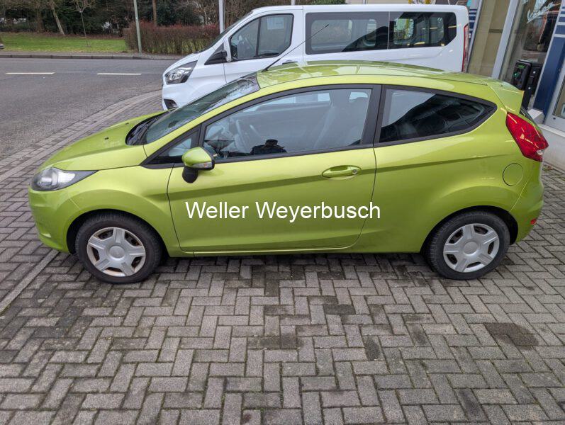 Ford Fiesta Grün (9)