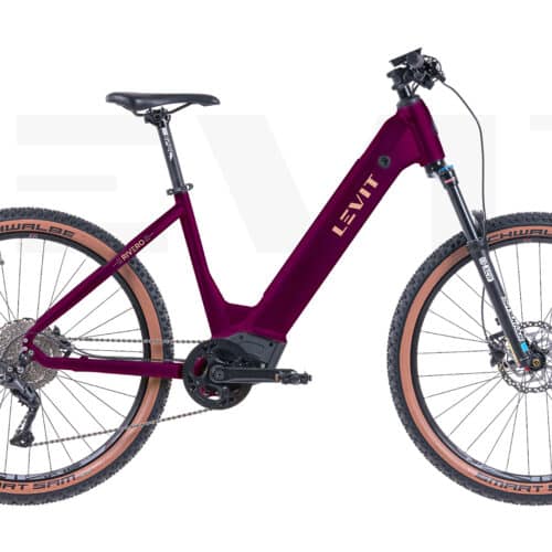 E-MTB Rivero Tiefeinsteiger mit 120 mm Federung Top Ausstattung