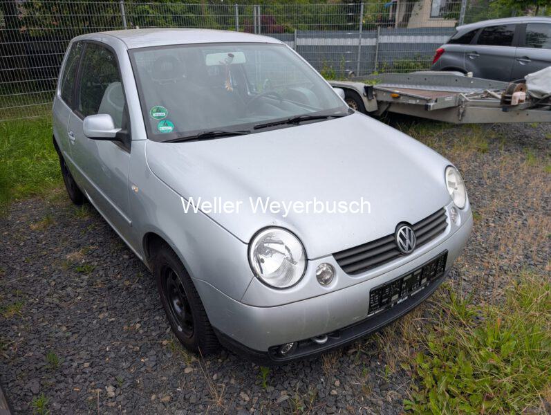 Lupo (11)