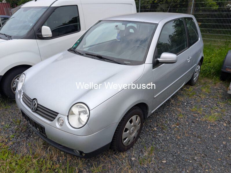 Lupo (5)