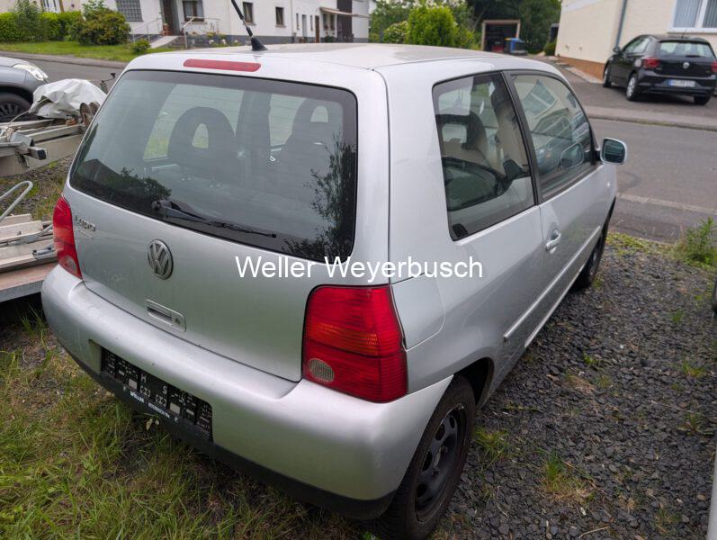 Lupo (8)