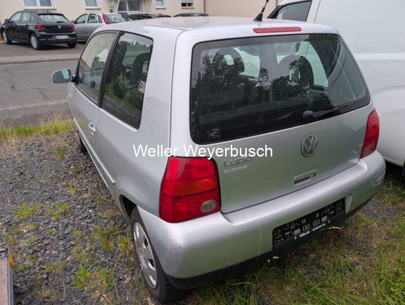 Lupo (9)