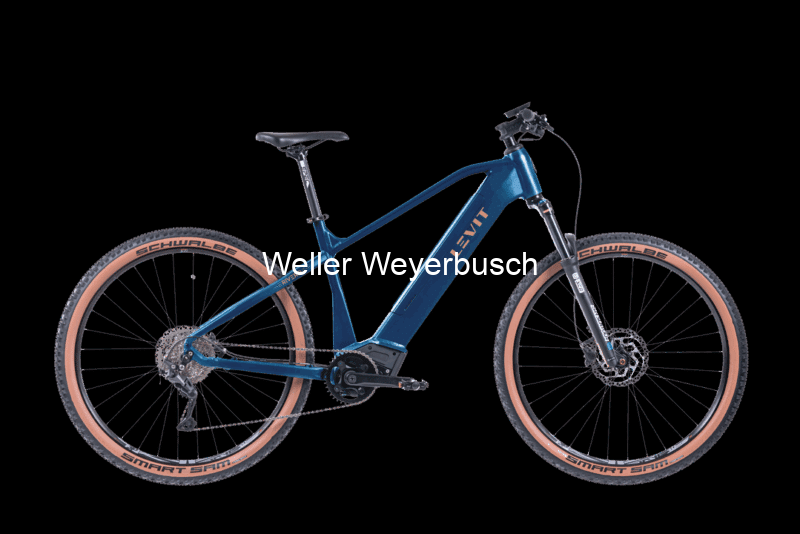 Rivero_overstep_bluebell_hd